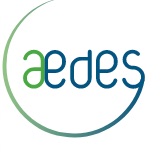 aedes